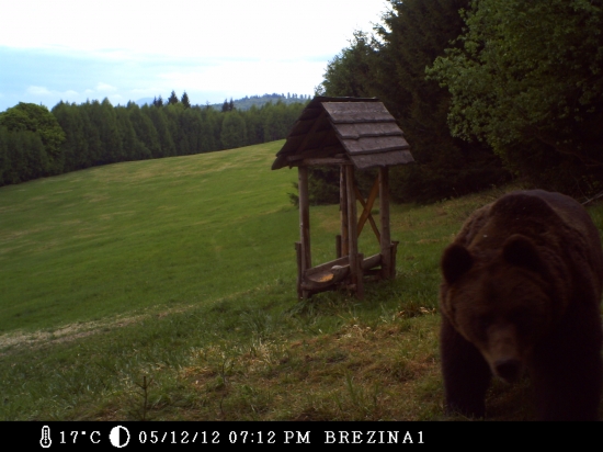 taký maličký macko...