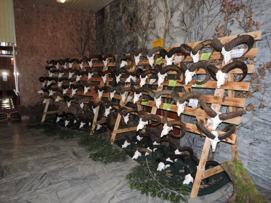 Levické poľovnícke dni 2015