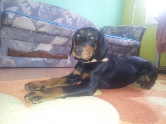 moja kopovka 4 mesiace