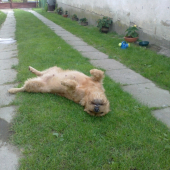 relax