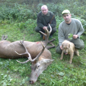 úspešná dohľadávka