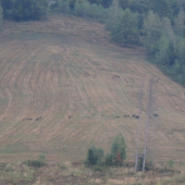 vsetci krasne pokope