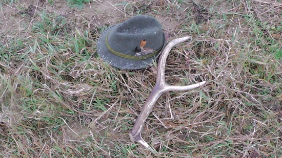 miesto srnčieho zhodu jeleni