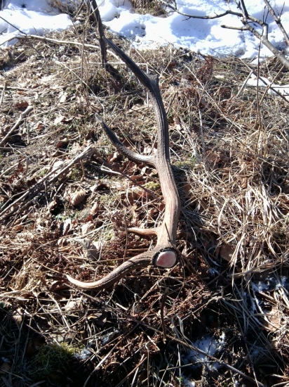 Inšpiracia do novej sezony