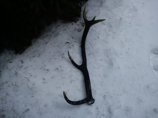 Ked sa dari tak sa darí ale škoda že je starý