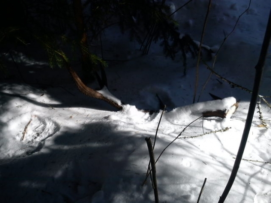 A rano sa my nechcelo ist