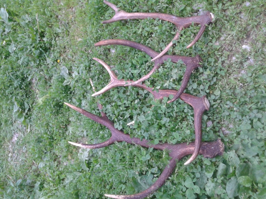 Po menšej prestavke