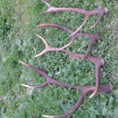 Po menšej prestavke