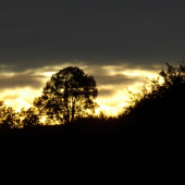 z na-večerní procházky..