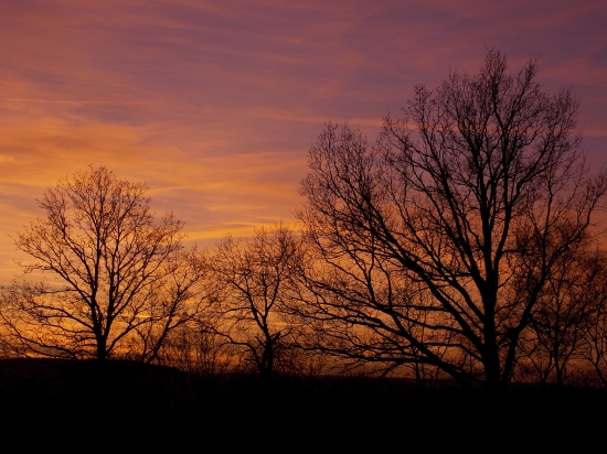 v barvách západu..