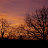 v barvách západu..