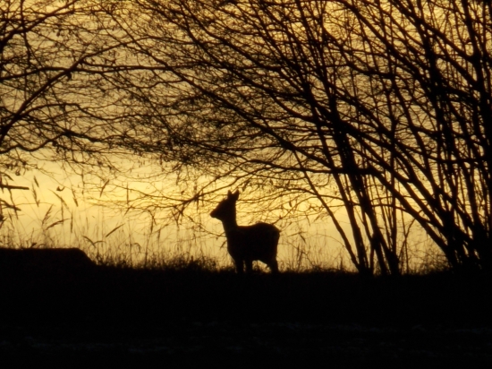 večerní toulání..