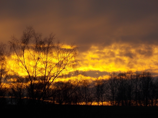 ..jako v plamenech ..