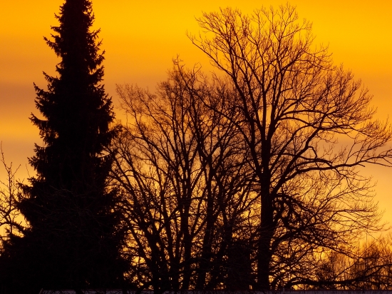 červánkové probuzení..