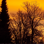 červánkové probuzení..