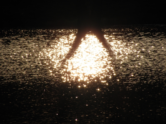 večer u rybníka-zrcadlení..