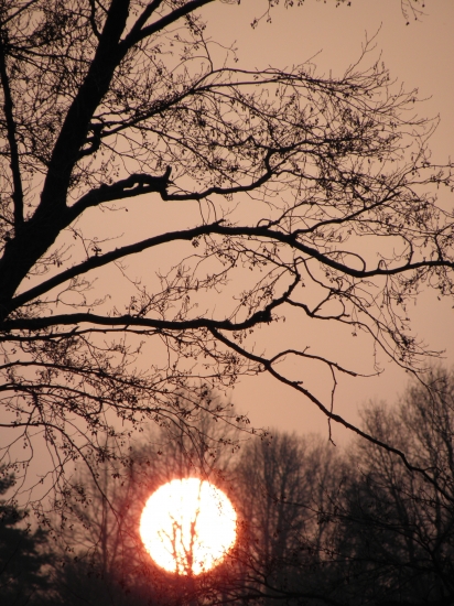 vydařený západík....