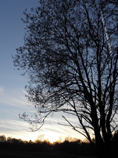 toulky v přírodě..