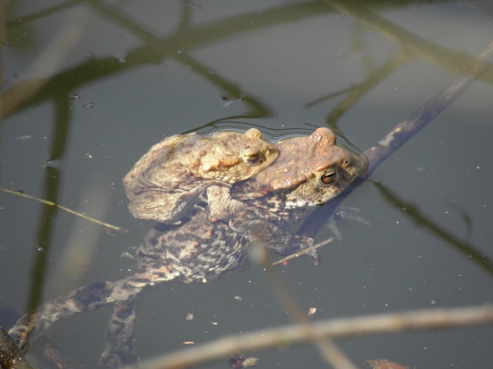 malej ale šikovnej :)