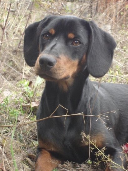 Mima z Micinskeho haja