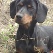 Mima z Micinskeho haja