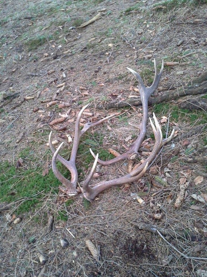 také krajšie z hornej Nitri