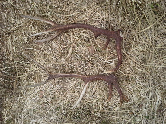 Toto sa mi podarilo v jeden pekny marcový deň