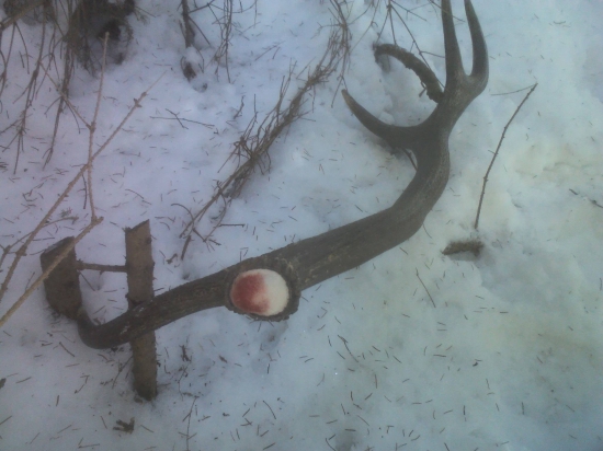 takto si tam ležal 16.2.2015