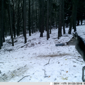 usmev pred fotopascou