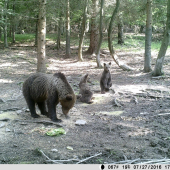 Mama strážime, môžeš jesť