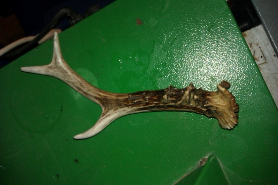 dnešný náhodný zhod..