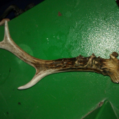 dnešný náhodný zhod..