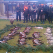 Spoločná poĺovačka na drobnú zver