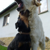 momentka