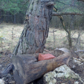 doplnené solisko