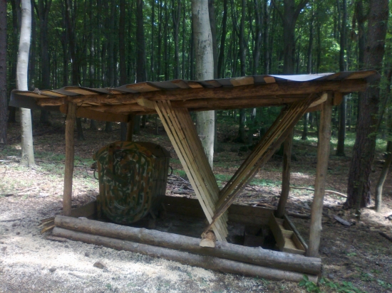 rebriny zväčšené