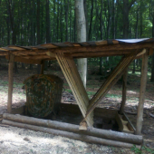 rebriny zväčšené