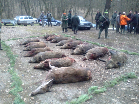 u kamaráda na štefanskej