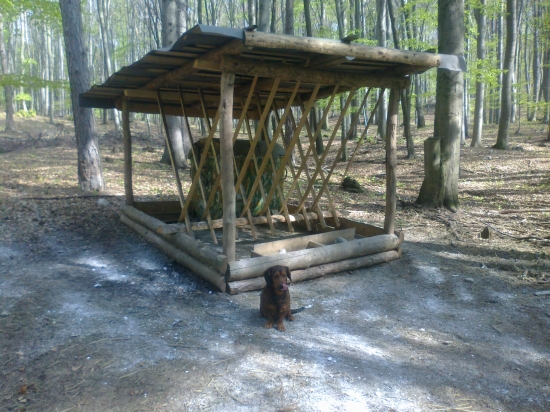 vyčistené a dezinfikované kŕmne zariadenie