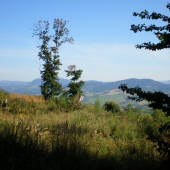 prechádzková