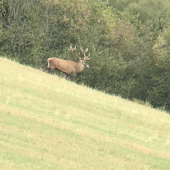 Konečne sme sa stretli ....