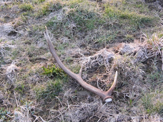 Môj dnešný nález