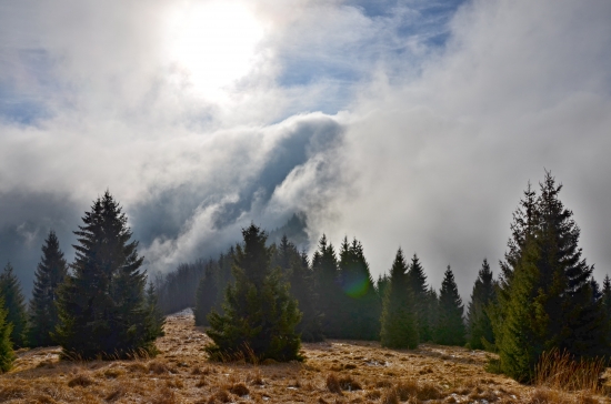 Na Vrchole Veľký Brankov 1134 m n.m.  :)