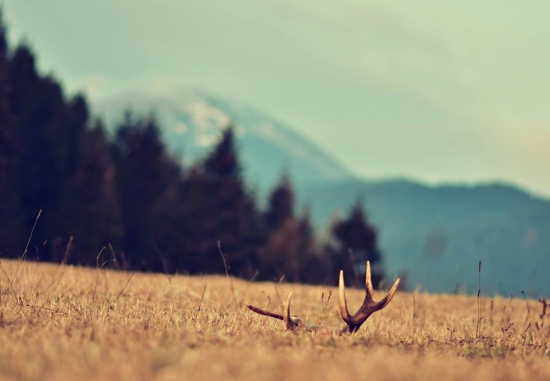 Keď srdce podskočí...