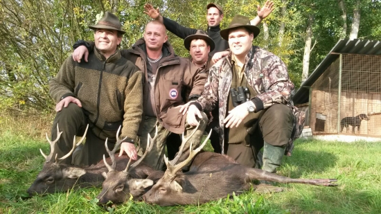 Sika 2015 Bochov