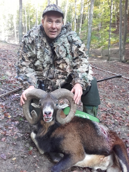 Otcou 60tkovy muflon
