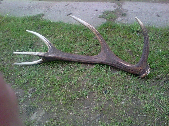 Vytúžený prvý v živote