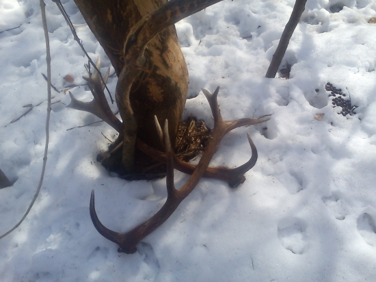 Po tých kilometroch konečne odmena