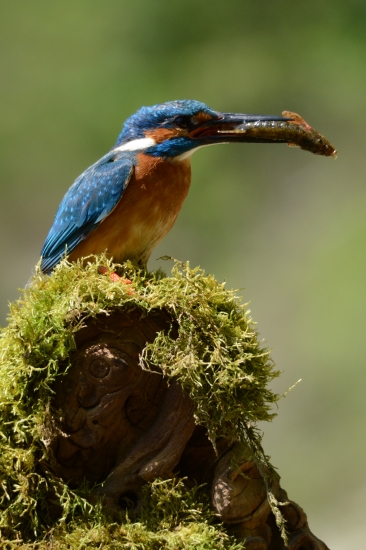 rybarska sezona zacala !