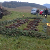 spoločná polovačka